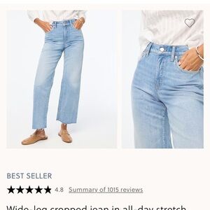 J. Crew Light Blue wide leg crop